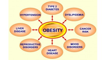Is Obesity Really Genetic: To a Certain Extent